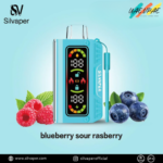 Silvaper 20,000 Puffs Disposable Vape Blueberry Sour Rasberry