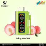 Silvaper 20,000 Puffs Disposable Vape juicy Peaches