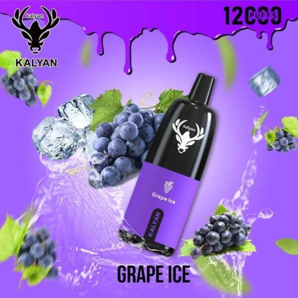 KALYAN Pro 12000 Puffs 50MG Disposable Vape Grape Ice