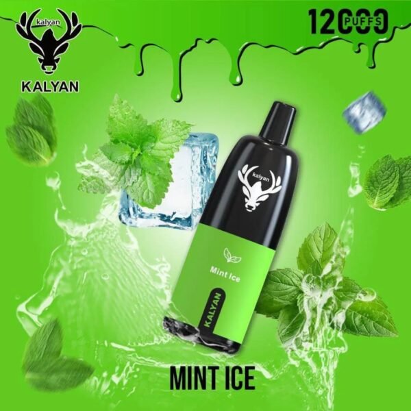 KALYAN Pro 12000 Puffs 50MG Disposable Vape Mint Ice