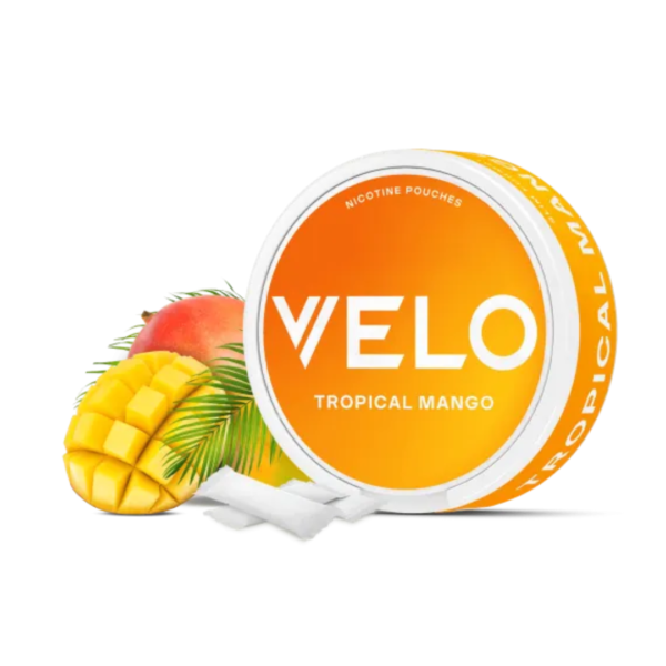 VELO Nicotine Pouches Tropical Mango in Dubai & UAE