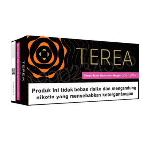 Box of Tera e-liquid, showcasing Indonesian Terea Golden Edition for IQOS ILUMA compatibility in the UAE.