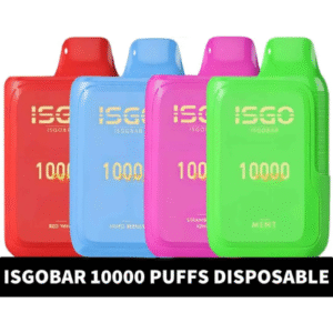 ISGO Bar Rechargeable 10000 Puffs Disposable Vape